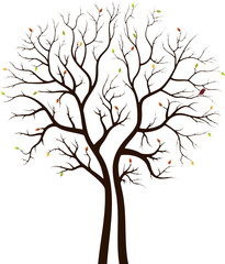 Obraz premium autumn tree