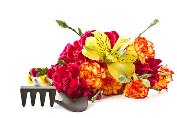 Alstroemeria and red carnations