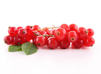 isolated red currant