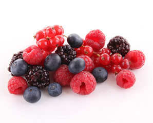 isolated berries