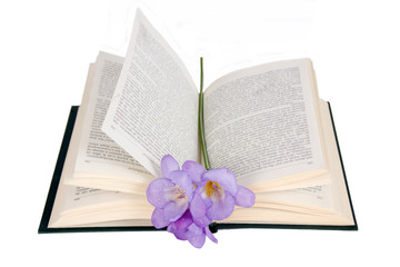 Open the book and freesia