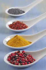 ÉPICES - Baies rouges,Curry,Safran,Pavot bleu