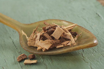 Aubier de tilleul - Plante médicinale