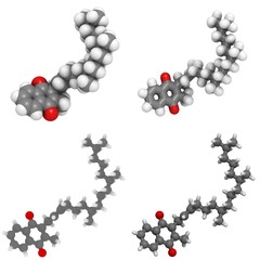 Vitamin K1 (phylloquinone) molecule