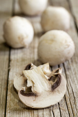 Pilze auf Holzhintergrund