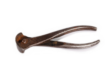 Old rusty nippers