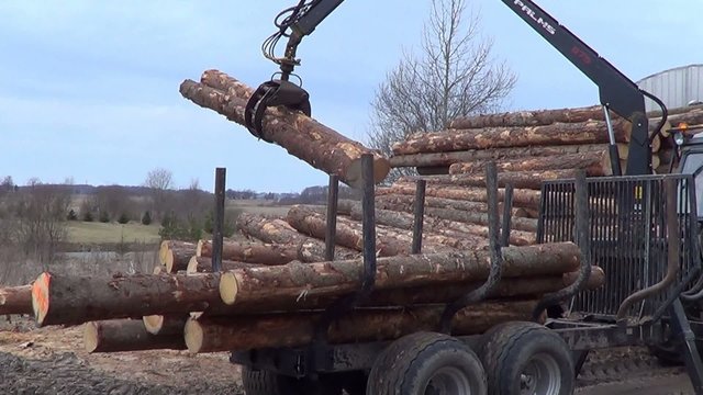Log loader
