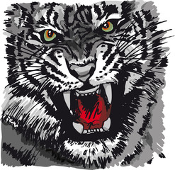 Croquis de tigre. Illustration vectorielle