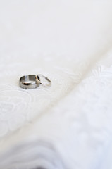 Two wedding rings on a white background