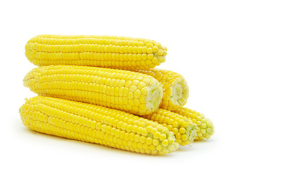 maize