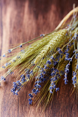 Bunch of dry lavender flowers and wheat