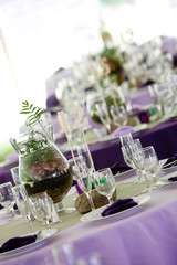 Tables in Green and Purple