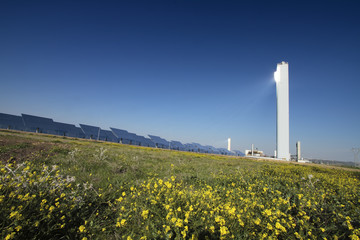 Fototapeta premium Planta y torre solar