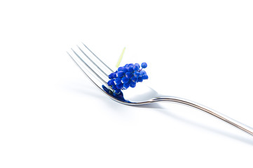 Fork with blue lavender