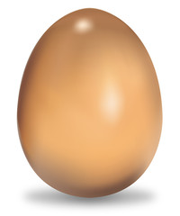 Realistic vector egg