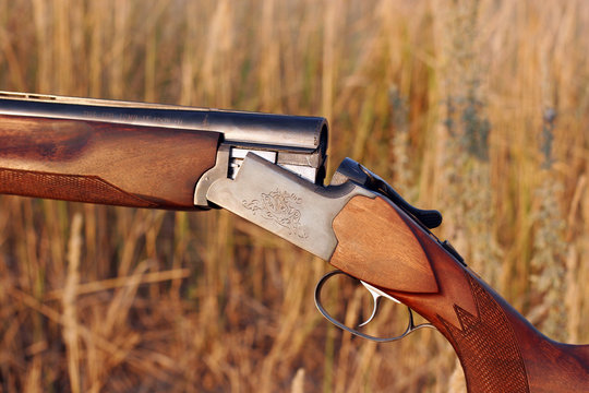 Hunting double-barrelled gun