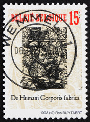 Postage stamp Belgium 1993 Detail from Textbook of Human Anatomy