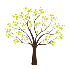 Obraz premium green tree on white background