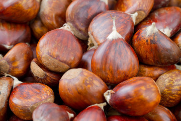 Chestnuts background