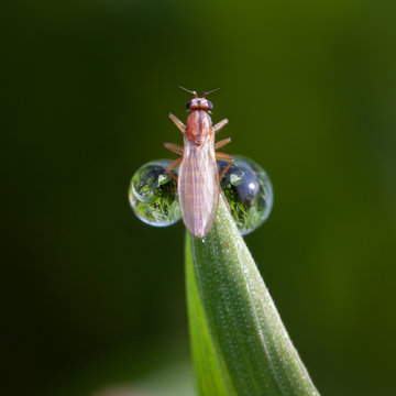Fr&uuml;hling_02