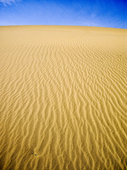 Yellow Dunes on blue sky