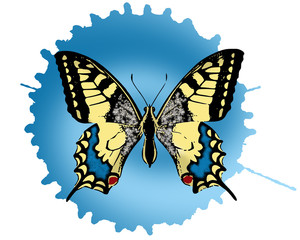 butterflies background