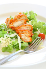 Buffalo Chicken Salad