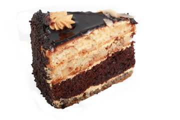 piece of chocolate cake