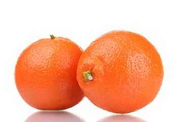 mineola fruits isolated on white