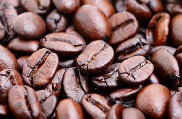 coffee bean close up