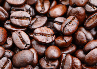 coffee bean close up