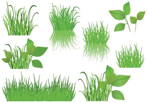 set of vector green grass