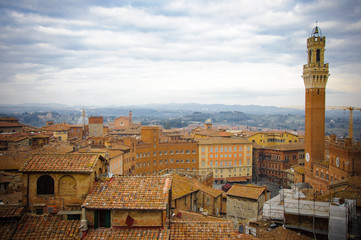 Fototapeta premium Siena Skyline