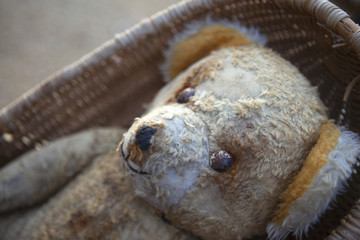 Nounours, jouet, peluche, antiquité, brocante, objet, ours