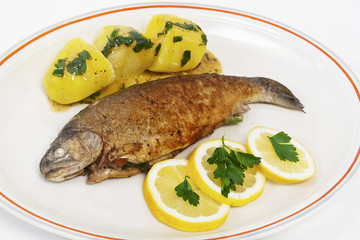 Forelle gebraten