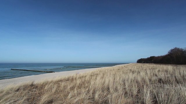Baltic Sea - Beach with Dunes and Grass waving