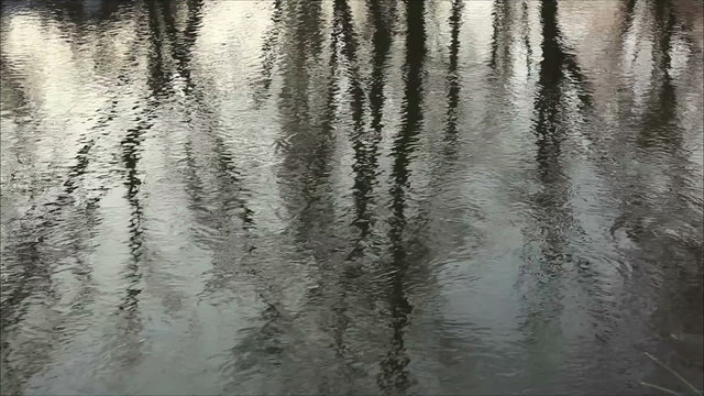 reflection in the water 1