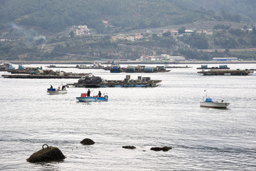Obraz premium Fishermen on boats