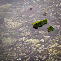 ROCAS EN EL MAR