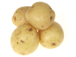 New Jersey Potatoes