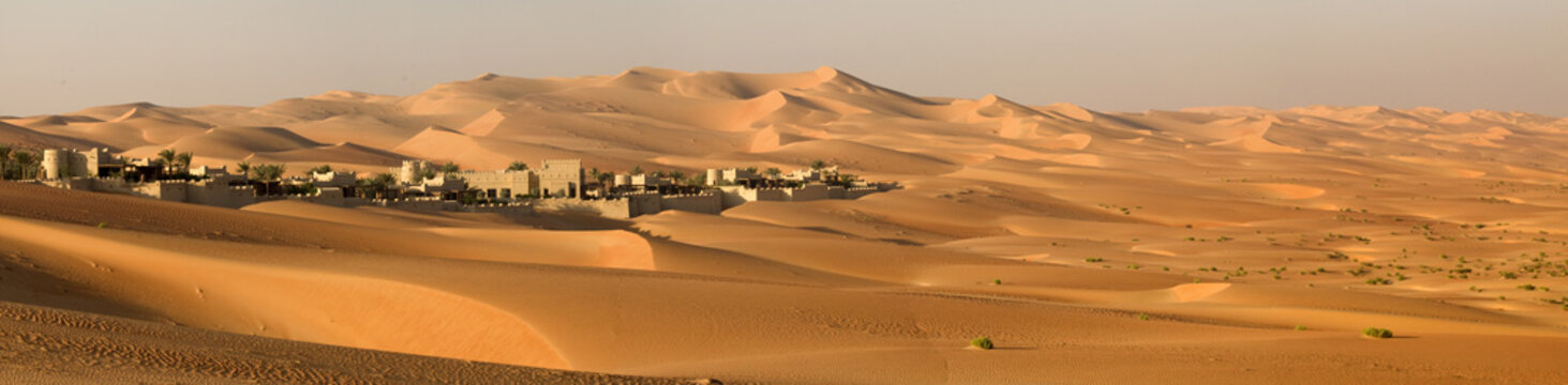 Abu Dhabi's desert dunes © forcdan