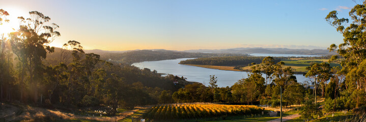 Winery panorama in Tamar Valley, Tasmania - obrazy, fototapety, plakaty