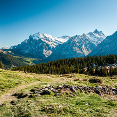 Scenic view from Maenlichen