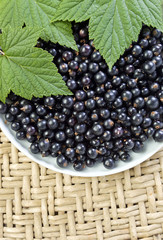 black currant.