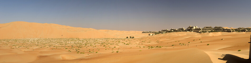Fototapeta na wymiar Abu Dhabi detail wydmy pustyni