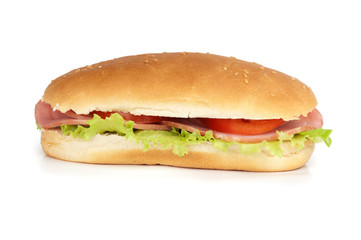 Big sandwich on white background