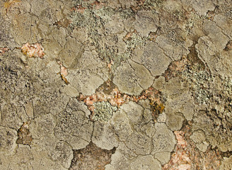 Natural stone surface.