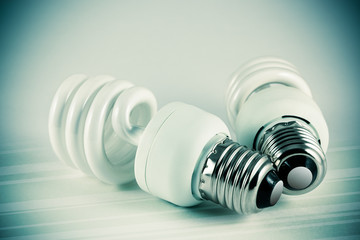 Two energy saving lightbulbs