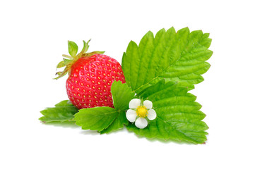 Strawberry with Flower and Leaves Isolated on White Background