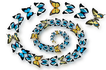Butterflies swirling